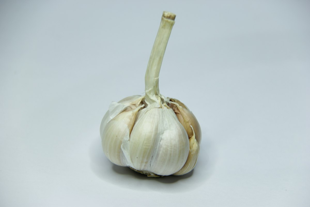 Ragoût campagnard au bouillon et légumes